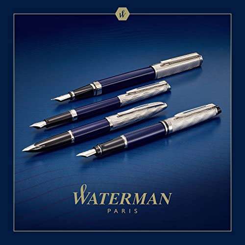 Stylo plume Waterman Expert Deluxe - Laqué gris métallique et bleu