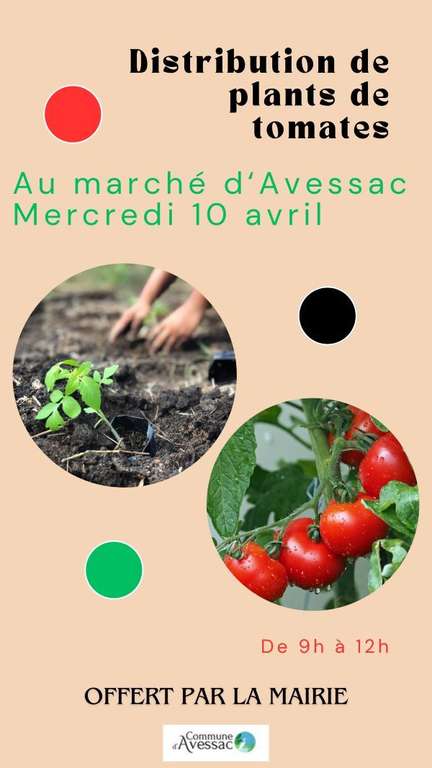 Distribution gratuite de plants de tomates - Avessac (44)