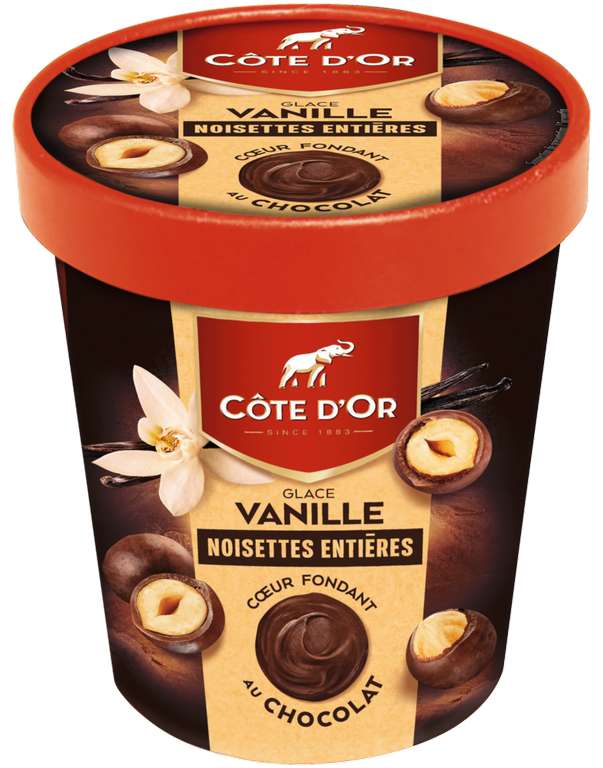 Pot de 480ml de crème glacée Côte d'Or (Vanille noisettes entières, Chocolat noisettes entières, Oreo ou Daim)