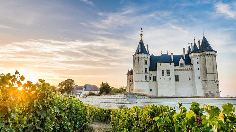Entrée gratuite pour la Fête des Vendanges au Château de Saumur (49)
