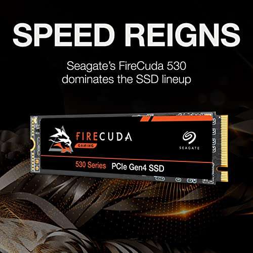SSD Interne M.2 NVMe Seagate FireCuda 530 - 1 To, Compatible PS5, Sans dissipateur, Jusqu'à 7300-6000 Mo/s