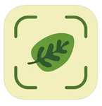 Application Leaf Identification (identification des plantes) gratuite sur iOS