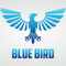 Bluebird510