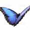 Avatar de Butterflyy